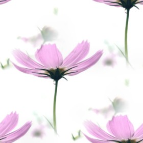 http://dl6.glitter-graphics.net/pub/72/72836ffi9jodio8.jpg