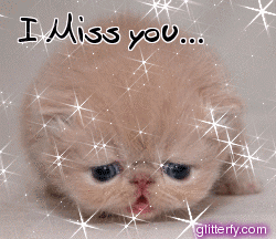 http://img10.glitterfy.com/graphics/104/sad_kitty.gif