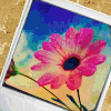 http://dl9.glitter-graphics.net/pub/1209/1209819w5sad3owdq.gif