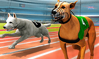 Real Dog Racing Simulator