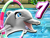 My Dolphin Show