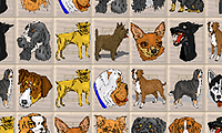 Dog Games