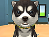 Dog Games