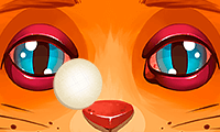 Chicken Games