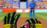 Cricket