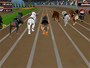 Crazy Dog Racing Fever