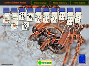 Spider Solitaire Relax