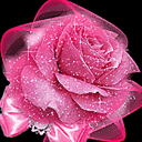 http://dl10.glitter-graphics.net/pub/137/137270pwkrmbvuat.gif