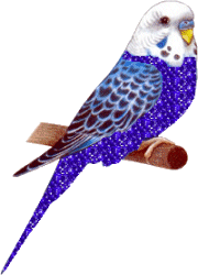http://dl5.glitter-graphics.net/pub/21/21065lzp5u5k71t.gif