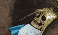 Alice is Dead 1: Scary Game