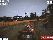 Quad Bike: Trail King