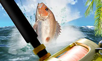 Sea Fishing Tropical
