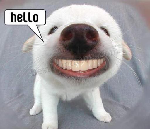 http://www.desicomments.com/graphics/user/hello.jpg