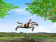 Horse Jumping