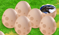 Dinosaur Eggs