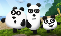 3 Pandas