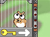 Hamster Games