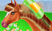 Horse Games