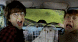http://dl2.glitter-graphics.net/pub/1636/1636532iwgf9cgj2n.gif
