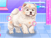 Chow Chow Spa Salon