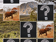 Memory Match Jungle Animals