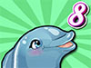 My Dolphin Show
