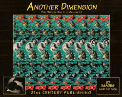 Another Dimension