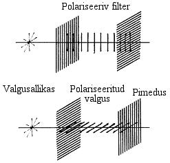 Polariseeritud valgus