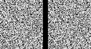 RDS Stereopaar