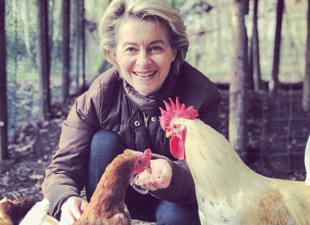 PILTUUDIS: Euroopa president võtab uue aasta vastu koos kanadega