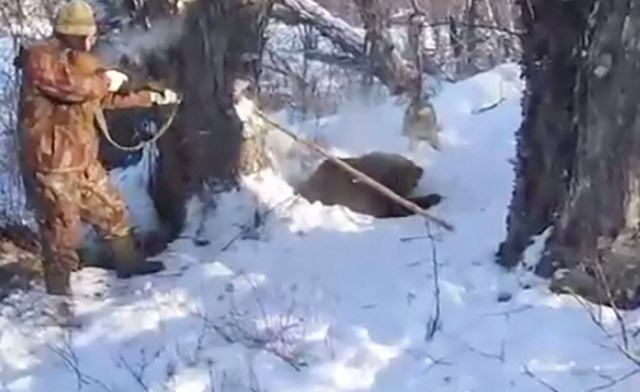 VIDEO: Talvine karujaht Venemaal (NB! Nõrganärvilistele mittesoovitav)