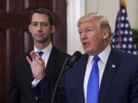 Trump Challenges Tom Cotton: How Can You Certify 'Wrong' Election?
