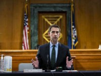 Tom Cotton Stands up Against Electoral College Challengers