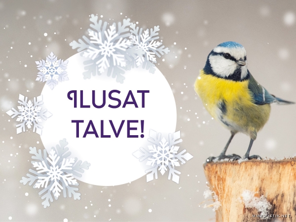 Ekaart: Talv