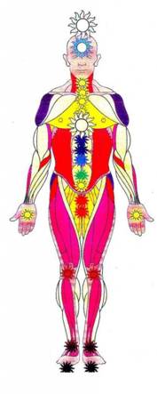 http://teamassignment.com/images/new-chakras-1-409x1024.jpg