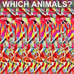 Which Animals #3