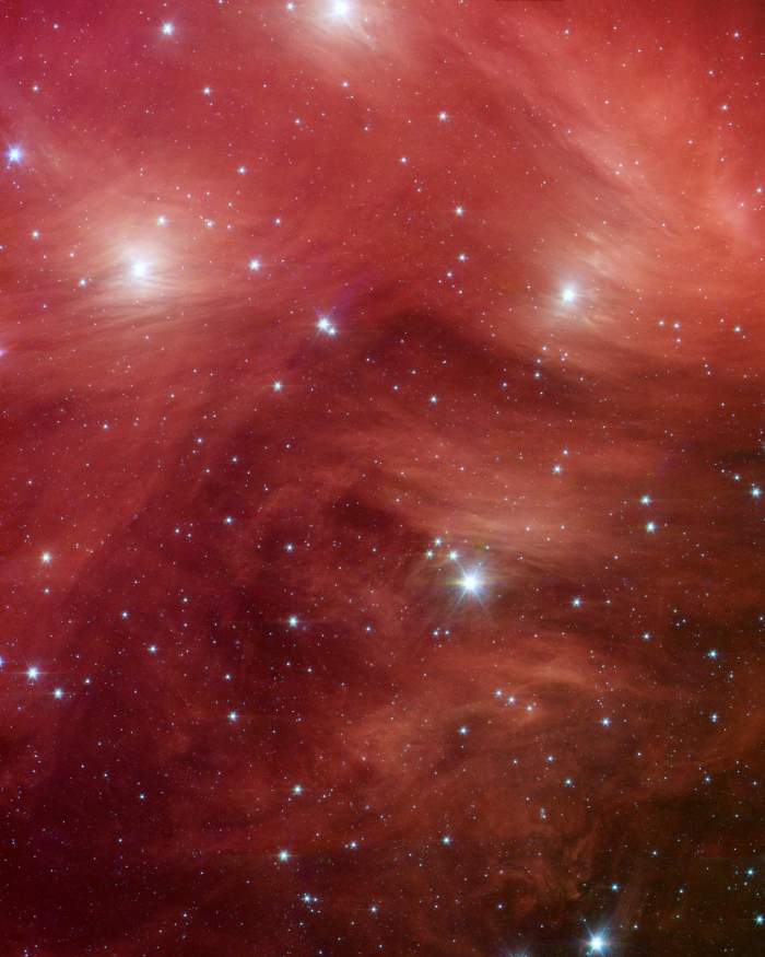 A star cluster also known as the "Seven Sisters" shine through what would appear to be a layer of cotton candy if it wasn't in space. Actually, clouds of dust sweep around the stars, swaddling them in a cushiony veil. 