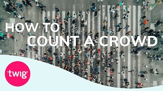 Counting Crowds