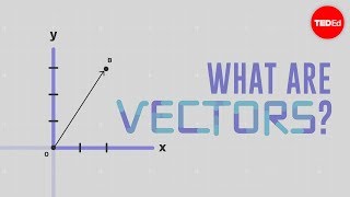 What are Vectors?