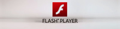 How to controll which Flash version installed, is Flash up-to-date