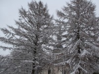 Vabadussõjas langenute mälestuspäeval Otepää Vabadussamba juures. Foto: Monika Otrokova