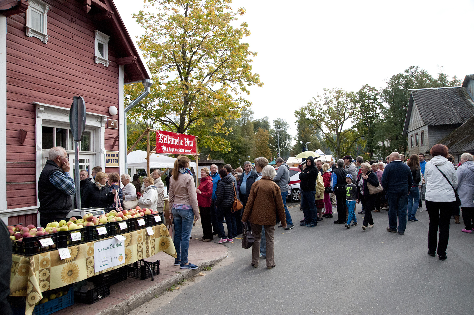 Meenutus Suurest Paunvere Väljanäitusest ja Laadast, mille abipolitseinik Aadli tänast seisu arvestades silmapilkselt laiali kihutaks. Foto: Johannes Haav