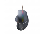 Mouse CANYON Apstar