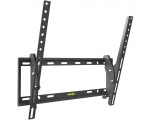 Wall mount BARKAN E310.B (29"-65")