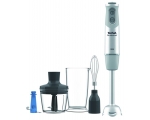 Hand blender TEFAL HB65KD38