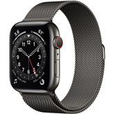 Apple Watch Series 6 Steel (44 mm) GPS + LTE