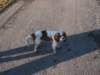 Photo Number 30