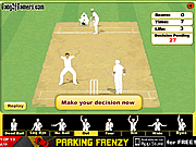 Cricket Umpire Decision