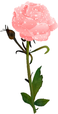 http://www.desiglitters.com/wp-content/uploads/2017/03/Lovely-Pink-Rose-Flowers-Glitter.gif