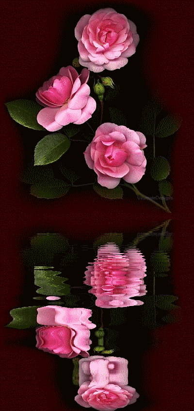 http://www.lovethispic.com/uploaded_images/147170-Reflections-Of-Pink-Roses.gif